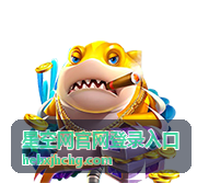 星空网官网登录入口指南