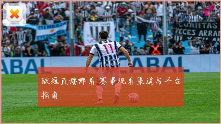 欧冠直播哪看 赛事观看渠道与平台指南