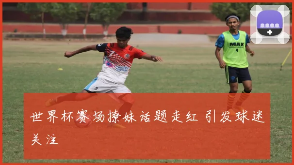 世界杯赛场撩妹话题走红 引发球迷关注
